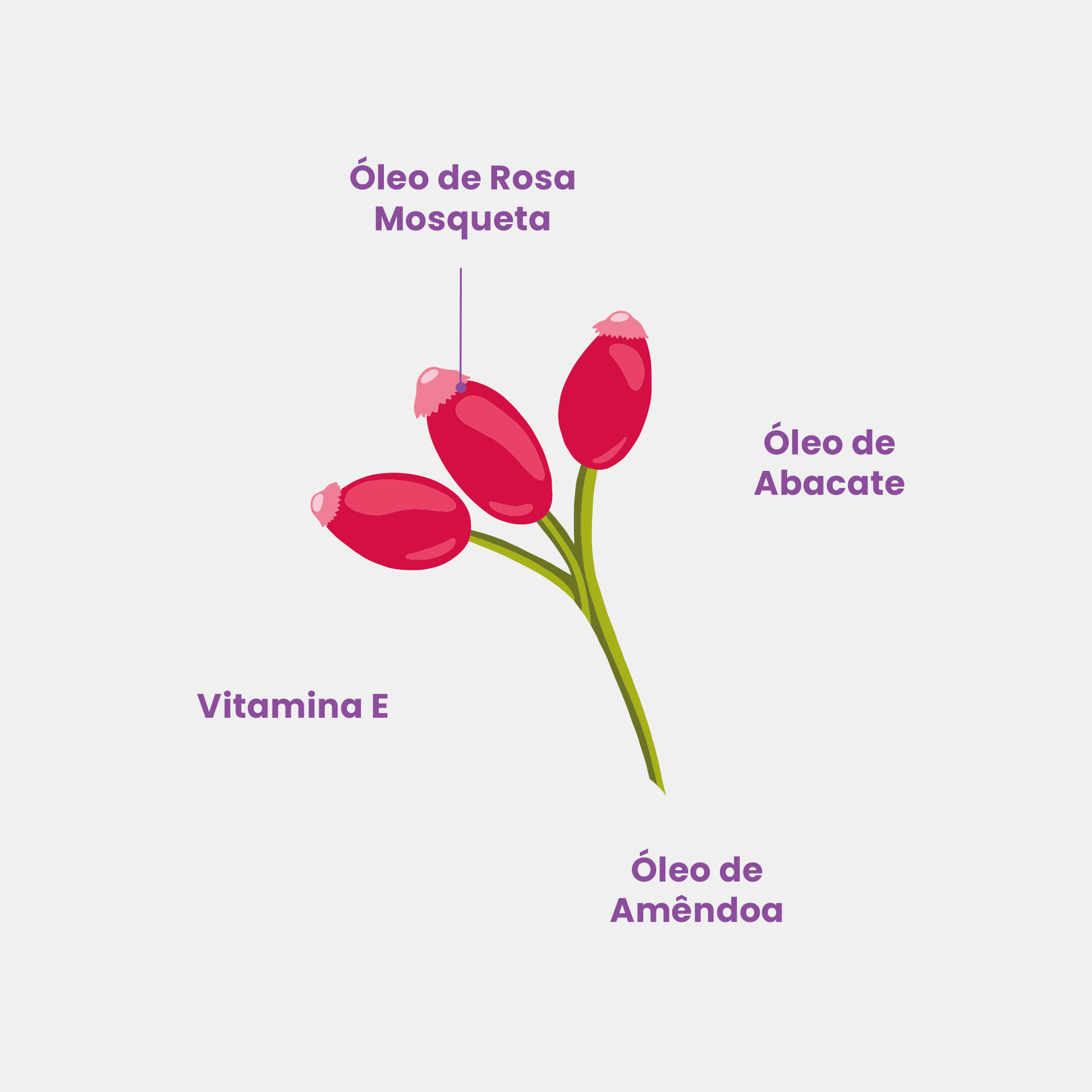 Imagem do produto 3